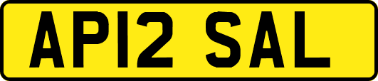 AP12SAL