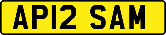 AP12SAM