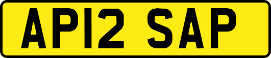 AP12SAP