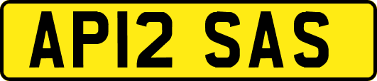 AP12SAS
