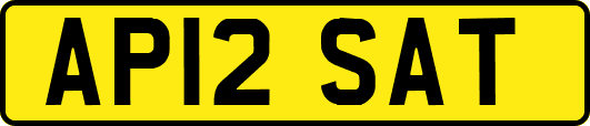 AP12SAT