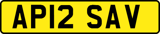 AP12SAV