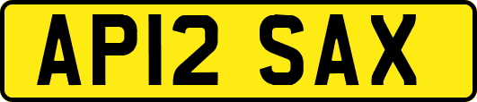 AP12SAX