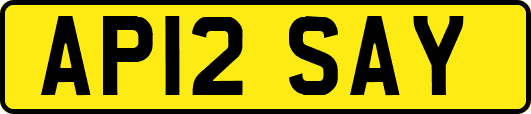 AP12SAY