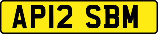 AP12SBM