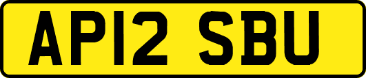 AP12SBU