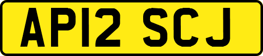 AP12SCJ