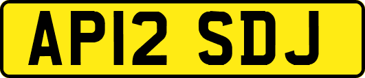 AP12SDJ