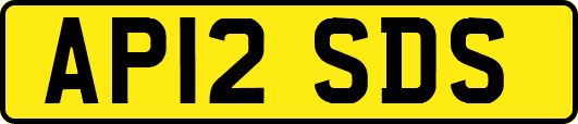 AP12SDS