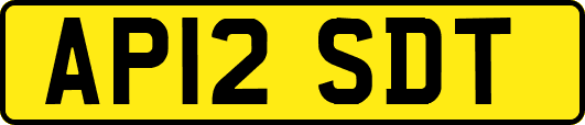 AP12SDT