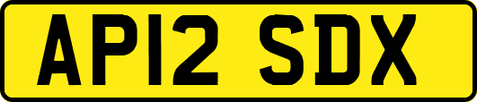 AP12SDX