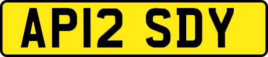 AP12SDY