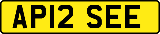 AP12SEE