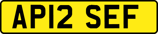 AP12SEF