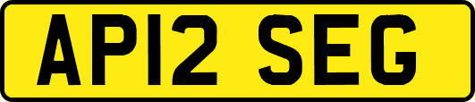 AP12SEG