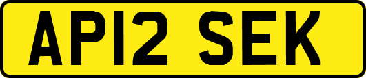 AP12SEK