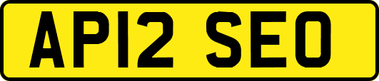 AP12SEO