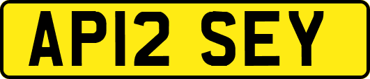 AP12SEY