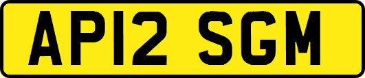 AP12SGM