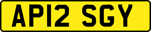 AP12SGY