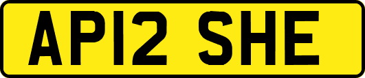AP12SHE