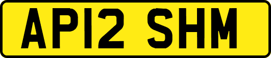 AP12SHM