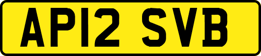 AP12SVB