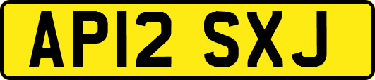 AP12SXJ