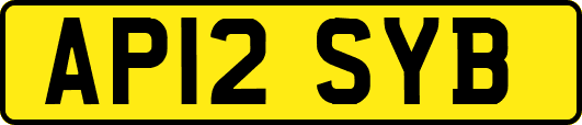 AP12SYB