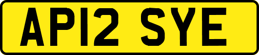 AP12SYE
