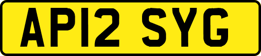 AP12SYG