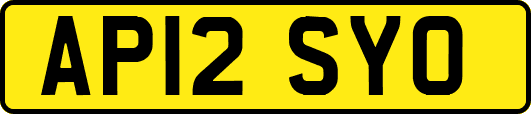 AP12SYO