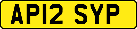 AP12SYP