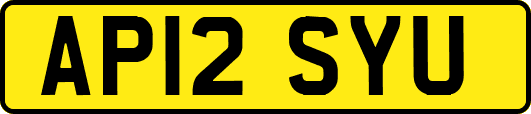 AP12SYU