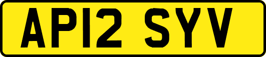 AP12SYV