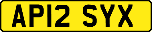 AP12SYX