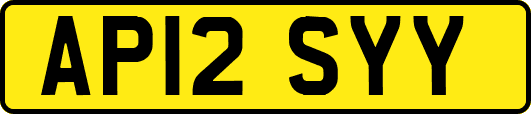 AP12SYY
