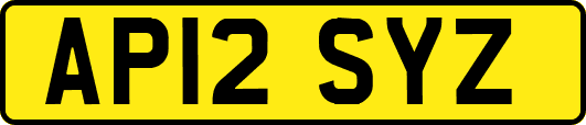 AP12SYZ