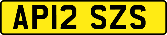 AP12SZS