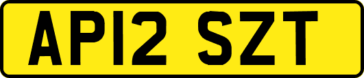 AP12SZT