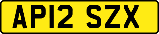 AP12SZX