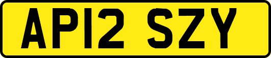 AP12SZY