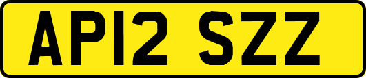AP12SZZ