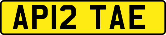 AP12TAE