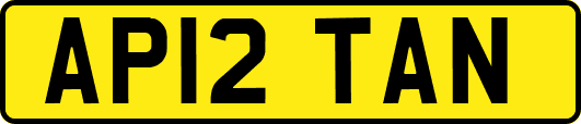 AP12TAN
