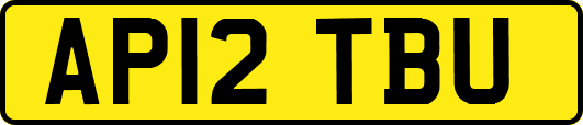 AP12TBU