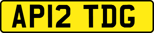 AP12TDG