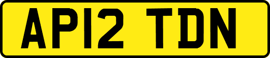 AP12TDN