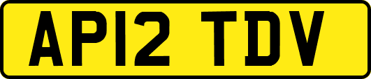 AP12TDV