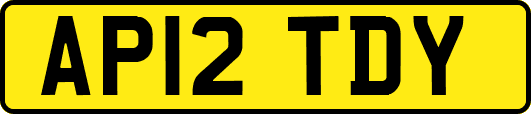 AP12TDY
